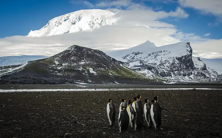Las islas Heard y McDonald: pingüinos, focas y aranceles
